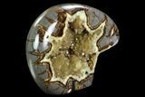 Calcite Crystal Filled, Polished Septarian Bear - Utah #123852-1